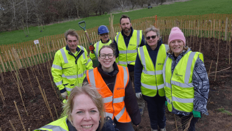 Tree Planting Crew Shepperton 1